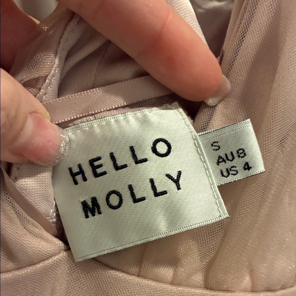 Hello Molly “Kiss the Girl” blush tulle midi - Picture 12 of 12